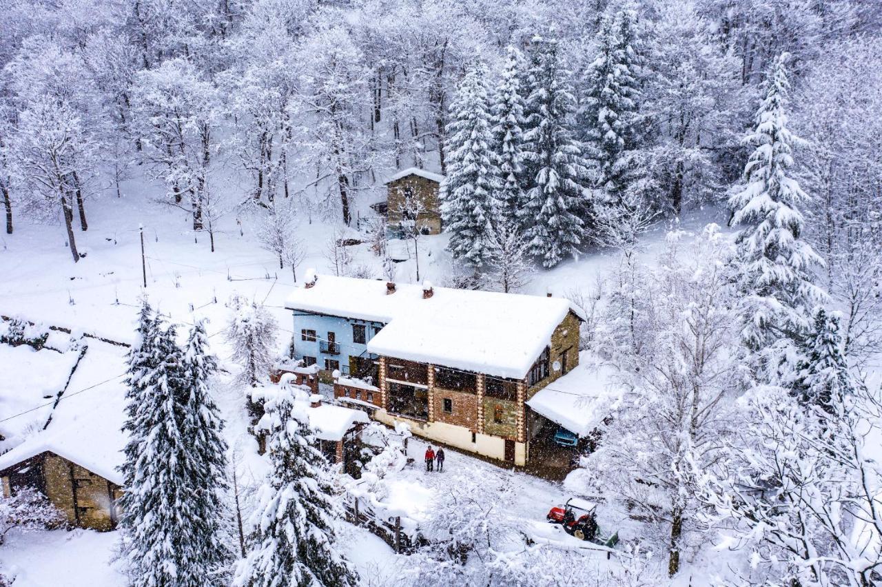 Iduevagamondi - Ospitalita Rurale Famigliare Di Montagna Bed & Breakfast Chiusa di Pesio Eksteriør bilde