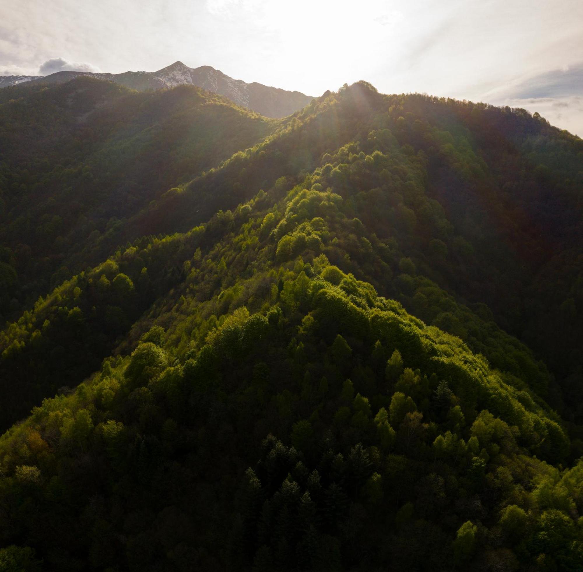 Iduevagamondi - Ospitalita Rurale Famigliare Di Montagna Bed & Breakfast Chiusa di Pesio Eksteriør bilde