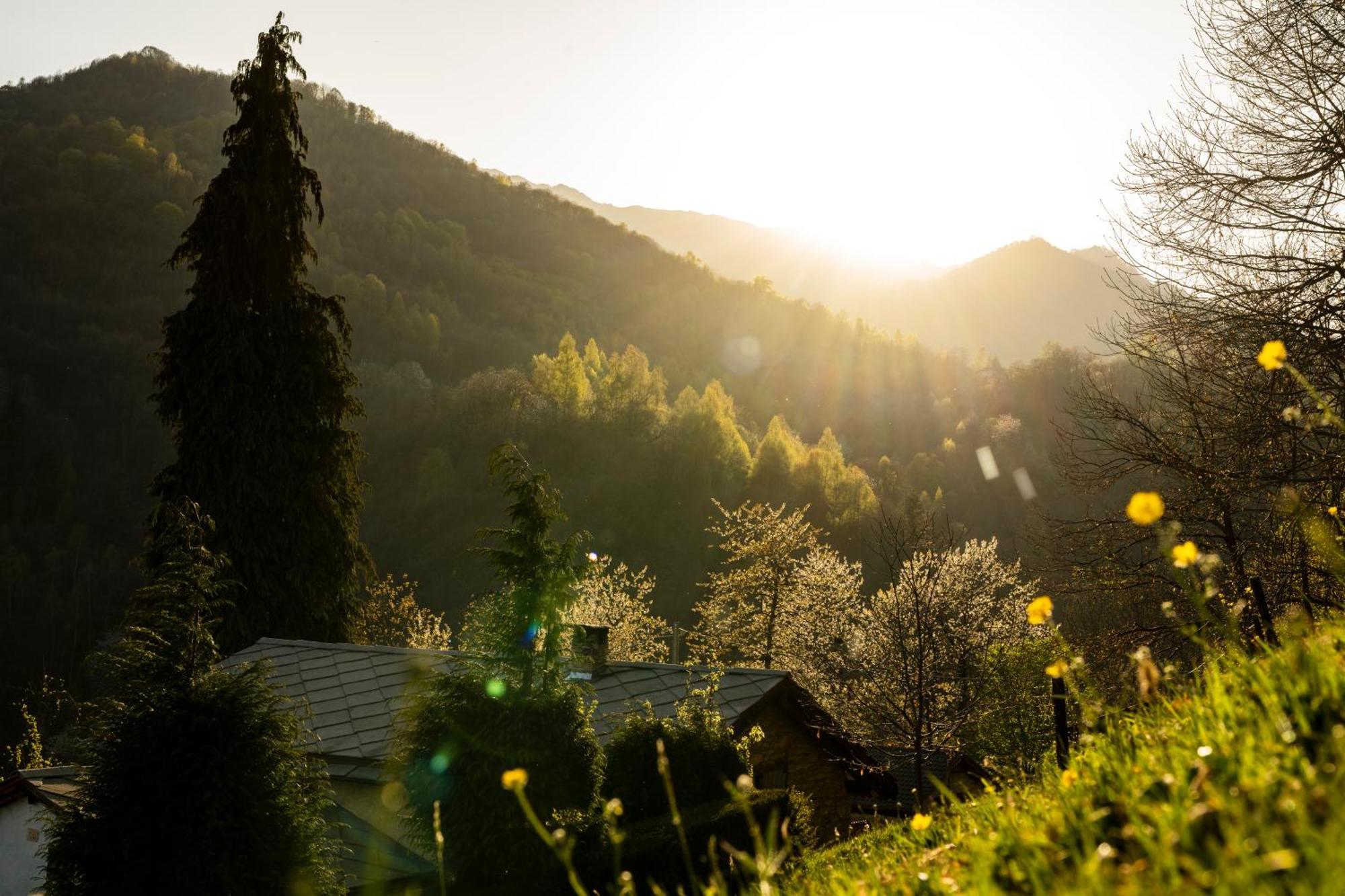 Iduevagamondi - Ospitalita Rurale Famigliare Di Montagna Bed & Breakfast Chiusa di Pesio Eksteriør bilde